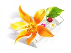 F003
